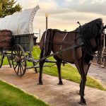Ritzville WA 28 A life-sized metal sculpture of a horse hitched to a covered wagon stands on a sidewalk in Ritzville, WA, beside grass, with a fence and railroad tracks in the background.